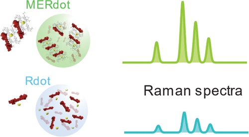 Boosting the Brightness of Raman Tags Using Cyanostar Macrocycles